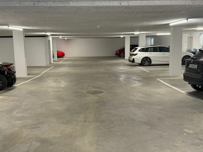 Einstellhallenplatz zu vermieten (1)