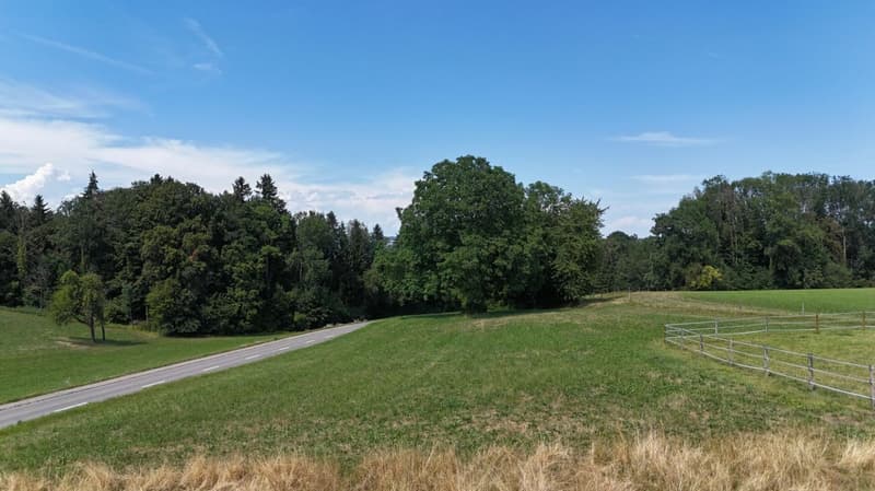Neubau 5.5-Zi.-Doppeleinfamilienhaus an erhöhter Wohnlage mit Weitsicht in Amlikon-Bissegg (Haus A) (6)