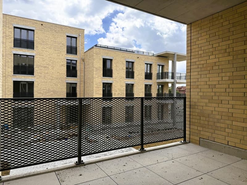 Gehoben Wohnen mit Sicht über den grossen Park des Ziegelei-Quartiers (E 1.2) (9)
