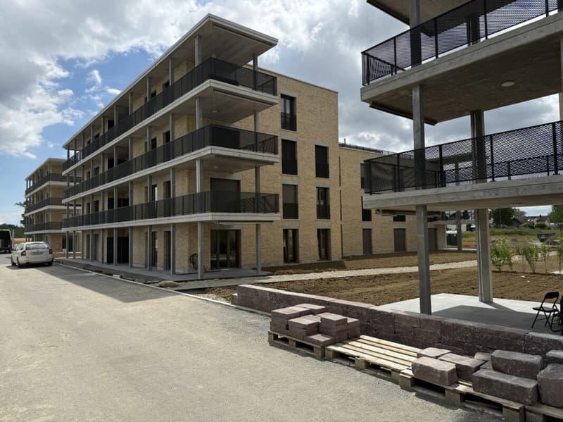 Gehoben Wohnen mit Sicht über den grossen Park des Ziegelei-Quartiers (E 1.2) (11)