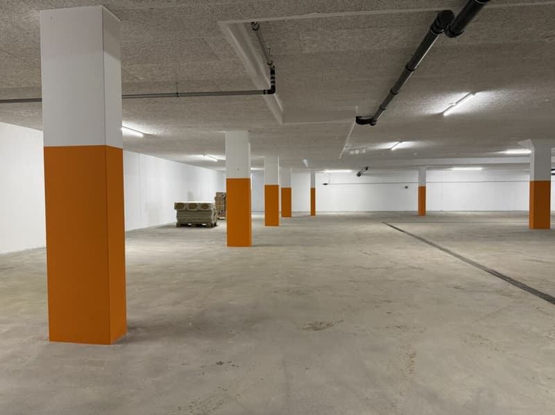 Einstellhallenplatz zu vermieten (1)