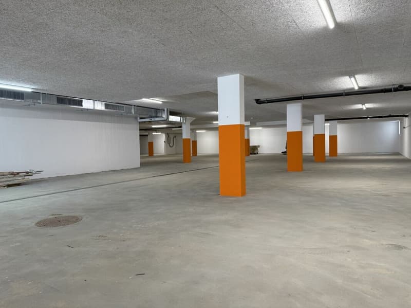 Einstellhallenplatz zu vermieten (4)