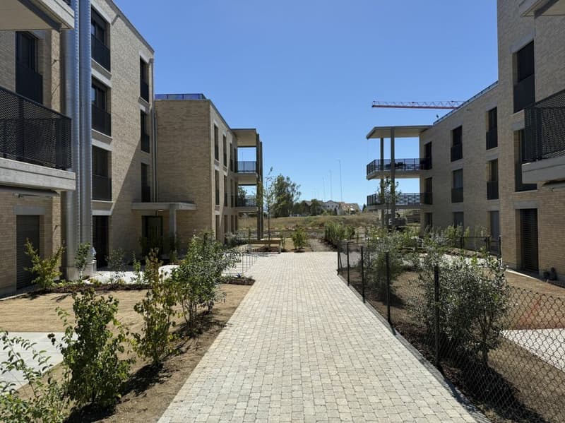 Gehoben Wohnen mit Sicht über den grossen Park des Ziegelei-Quartiers (E 1.2) (13)
