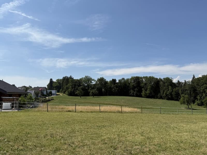 Neubau 5.5-Zi.-Doppeleinfamilienhaus an erhöhter Wohnlage mit Weitsicht in Amlikon-Bissegg (Haus A) (6)