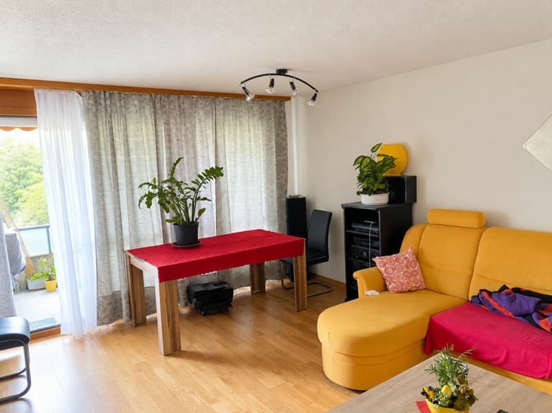 4.5-Zimmer-Dachwohnung mit Südbalkon (4)