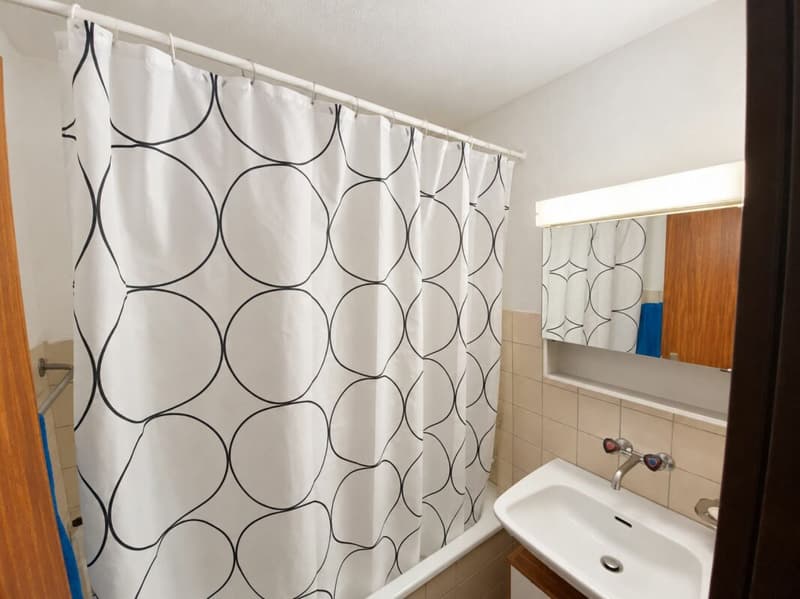 4.5-Zimmer-Dachwohnung mit Südbalkon (8)