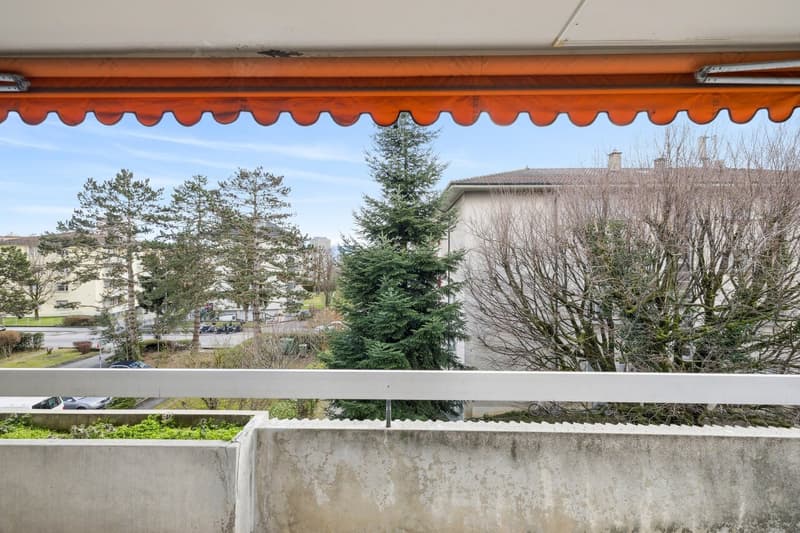 À moins de 10' de la gare - 4.5 pièces avec grande terrasse plein sud (5)