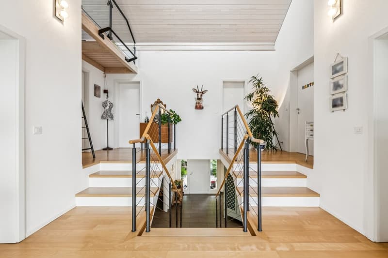 Villa d'architecte 300 m² à Blonay - cadre d'exception et potentiel locatif selon vos envies (6)