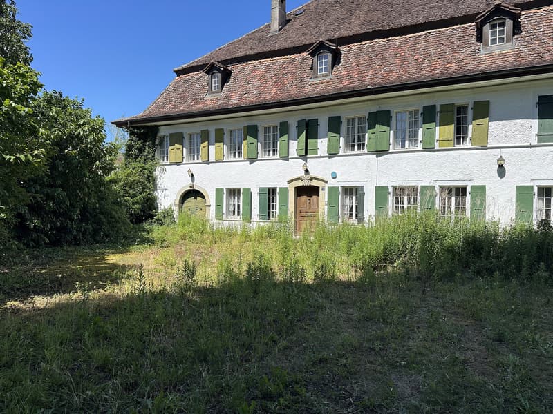 Charaktervolles Gebäude mit Renovierungspotenzial für 5 Wohnungen (3)