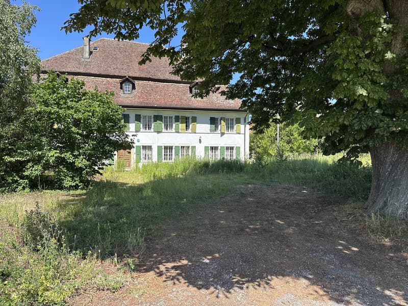 Charaktervolles Gebäude mit Renovierungspotenzial für 5 Wohnungen (5)