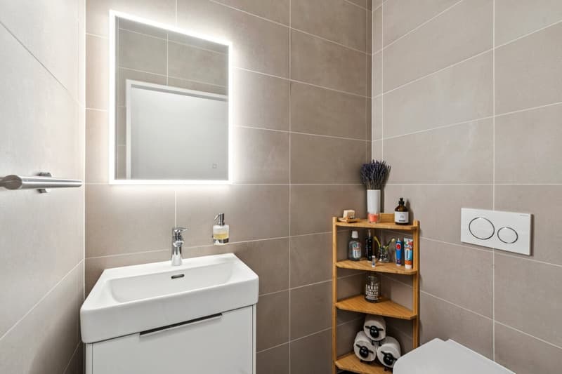 Lumineux appartement rénové avec soin et proche de tout - 1 parking (5)