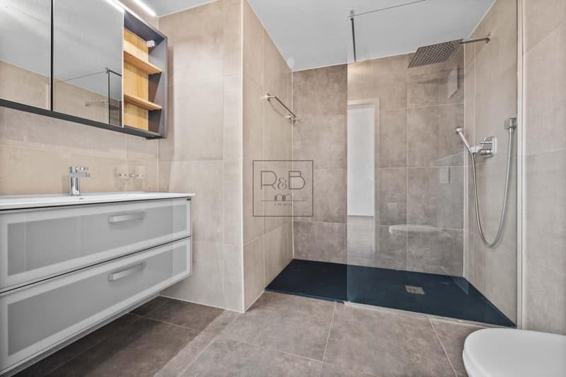 Bellissima casa con due appartamenti (9)