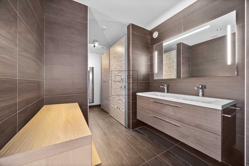 Villa contemporanea eccezionale situata a Marsens (7)