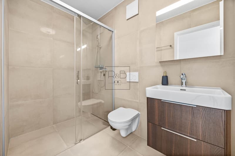 Bella casa a schiera a La Tour-de-Trême (9)