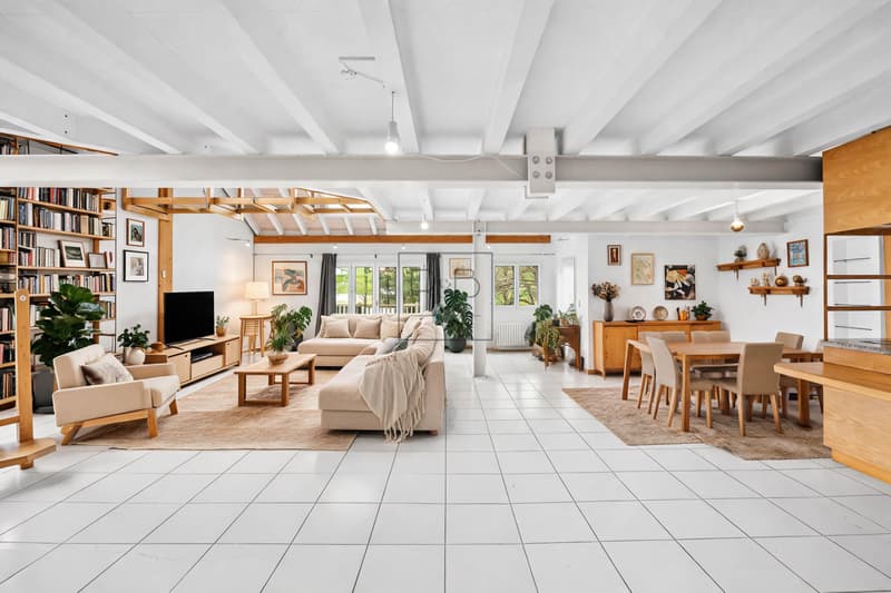 Magnificent 4.5-room duplex with unique character (2)
