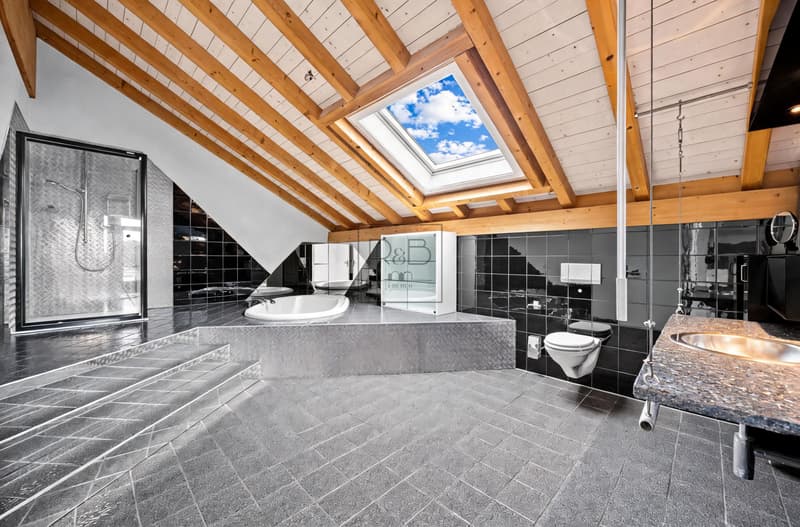 Magnificent 4.5-room duplex with unique character (7)