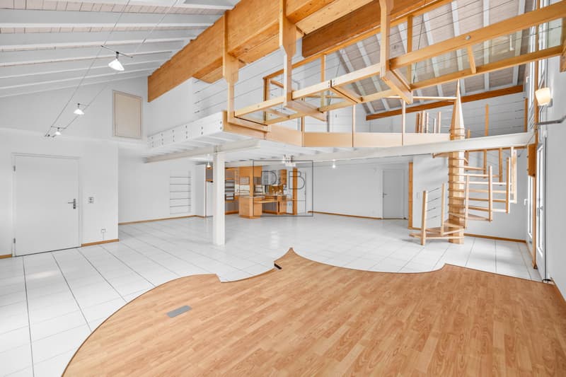 Magnificent 4.5-room duplex with unique character (4)