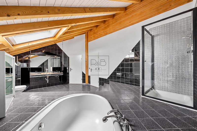Magnificent 4.5-room duplex with unique character (6)
