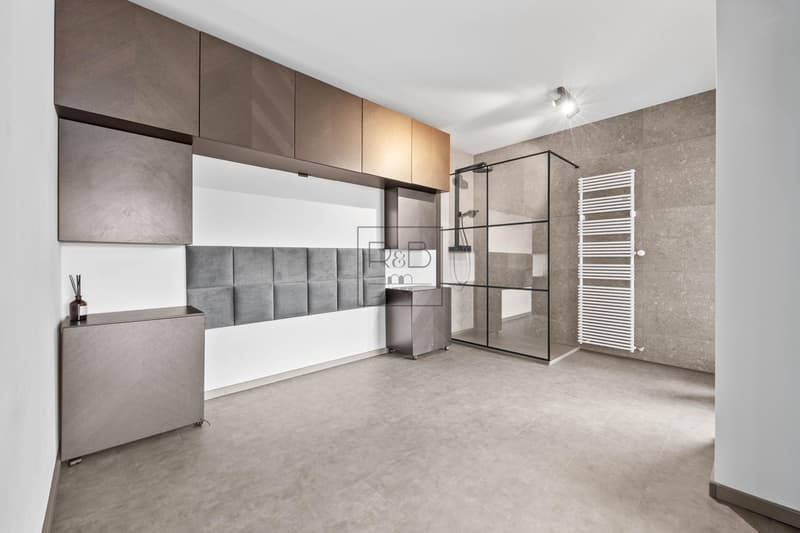 Splendid 2.5-room apartment (3)
