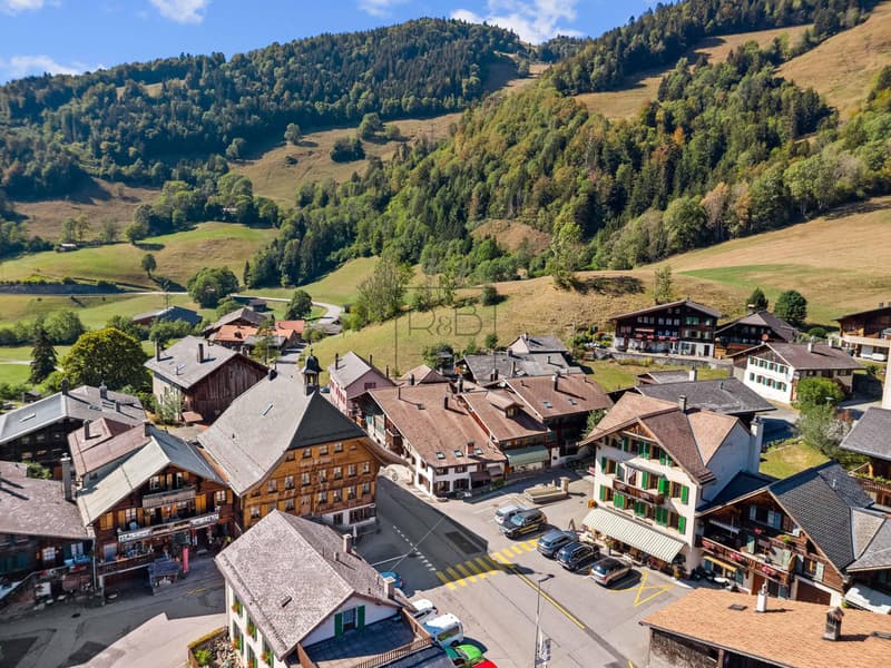 Duplex rénové au coeur du village : Rossinière, (6)