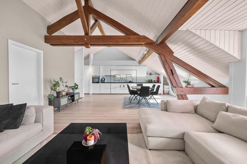 Magnifique duplex de 4,5 pièces (3)