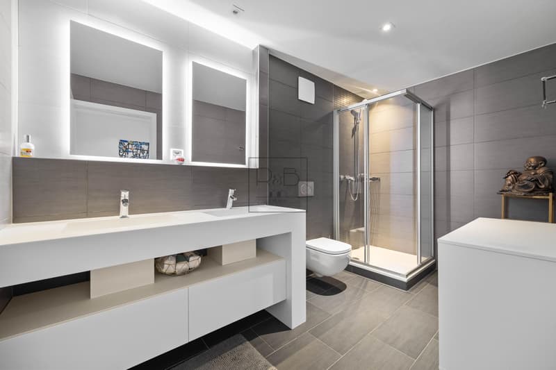 Magnifique duplex de 4,5 pièces (8)