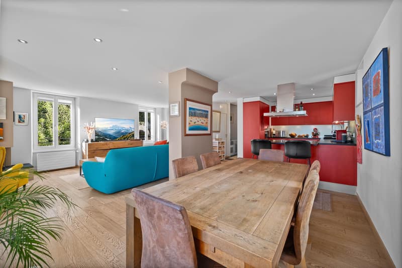Magnifique maison individuelle de 9,5 pièces avec jardin ? Lausanne sous-gare (4)