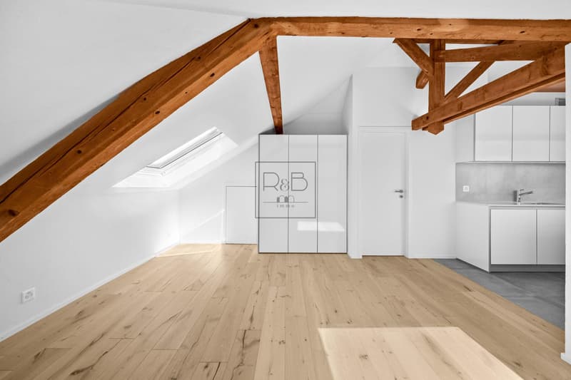 Loft rénové sous combles à Bulle (8)