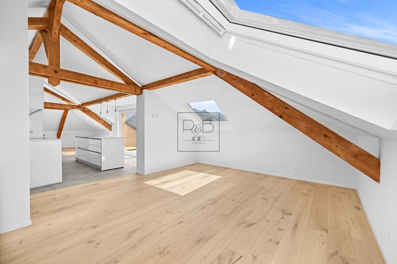 Loft rénové sous combles à Bulle (6)