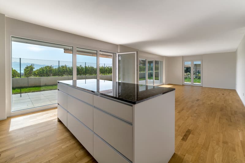 Appartement neuf au coeur des vignes, terrasse et jardin avec vue (4)