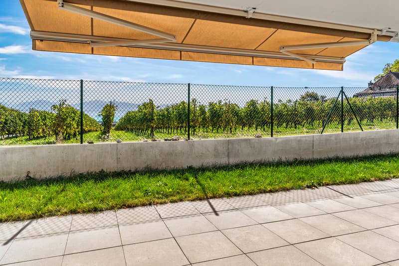 Appartement neuf au coeur des vignes, terrasse et jardin avec vue (3)