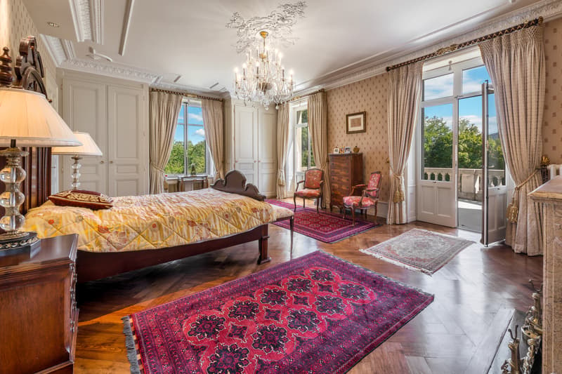 Exceptionnel Château du 19ème siècle et domaine de 9,5 hectares (12)