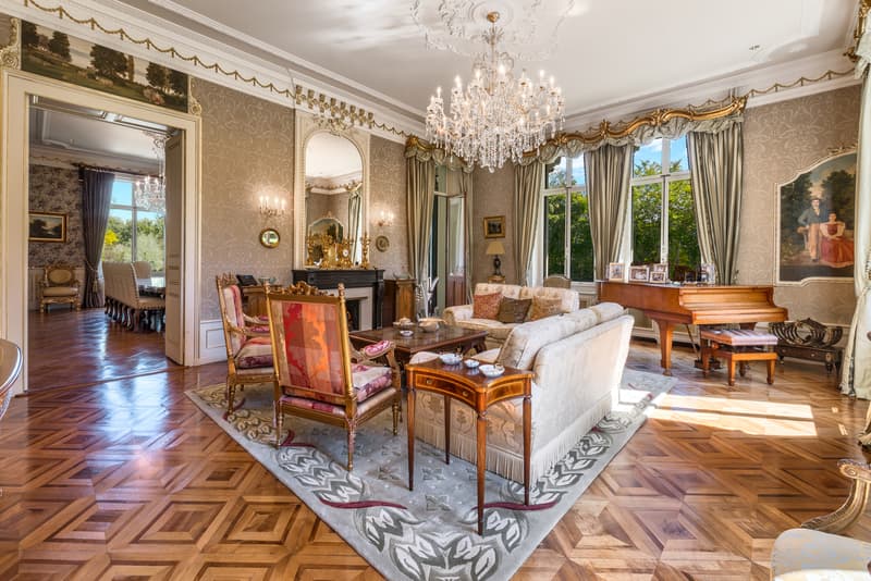 Exceptionnel Château du 19ème siècle et domaine de 9,5 hectares (6)