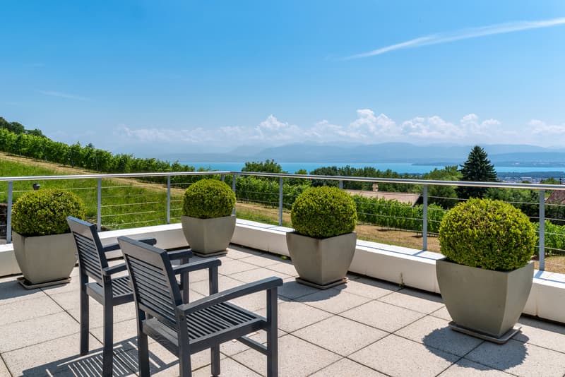 Villa contemporaine de haut standing avec vue sur le lac et les Alpes (2)