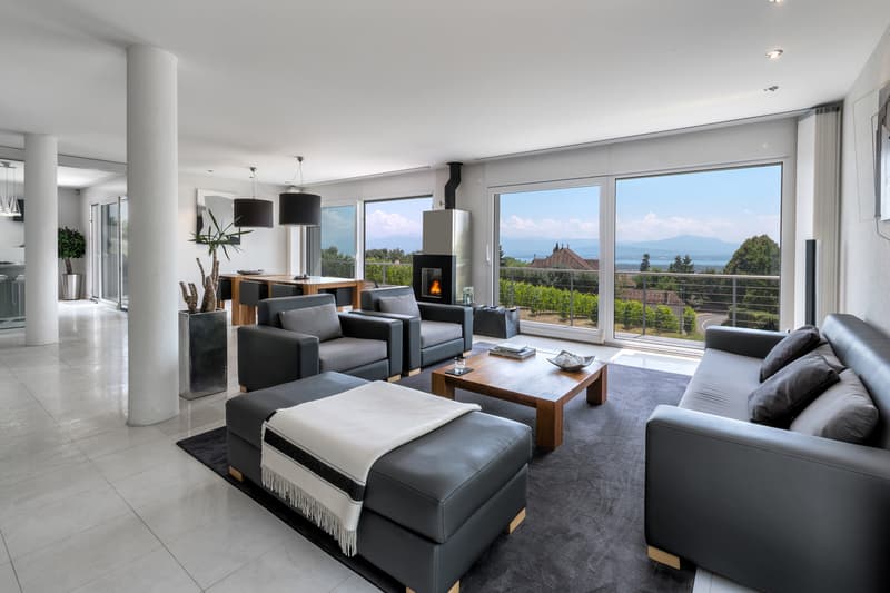 Villa contemporaine de haut standing avec vue sur le lac et les Alpes (3)