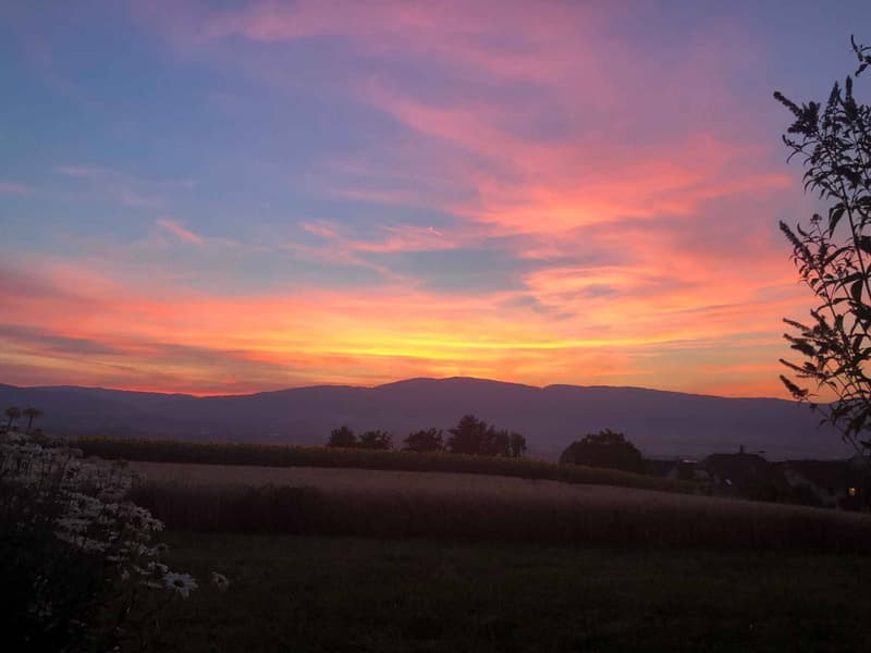 Appartamento mansardato di 3.5 locali con vista sul Jura (8)