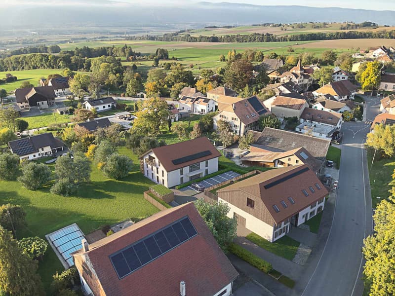 Maison villageoise mitoyenne avec terrasse et jardin (7)