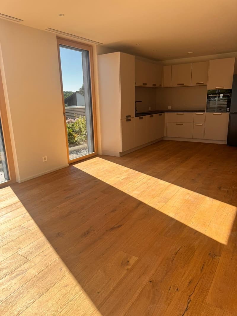 Appartement en attique spacieux 4.5 pièces dans un quartier calme à Erlen avec grande terrasse en attique (6)