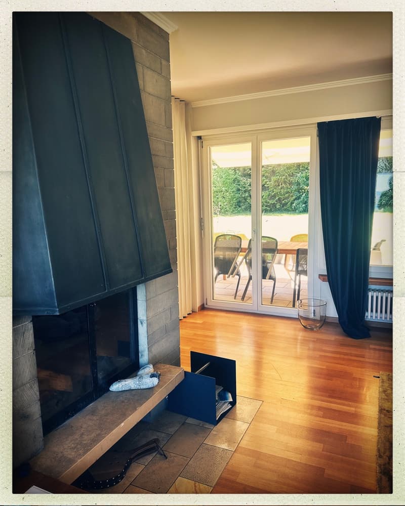 Vaste maison de famille de 8,5 pièces avec jardin à Kreuzlingen (4)