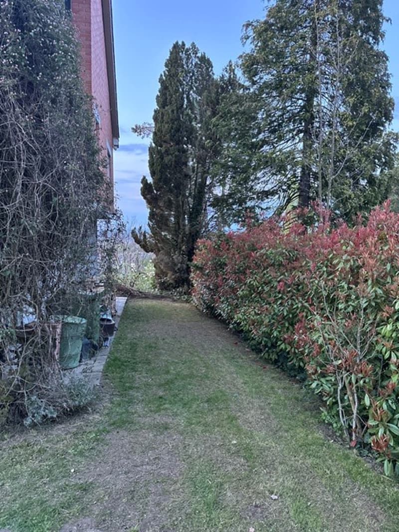 Vaste maison de famille de 8,5 pièces avec jardin à Kreuzlingen (2)