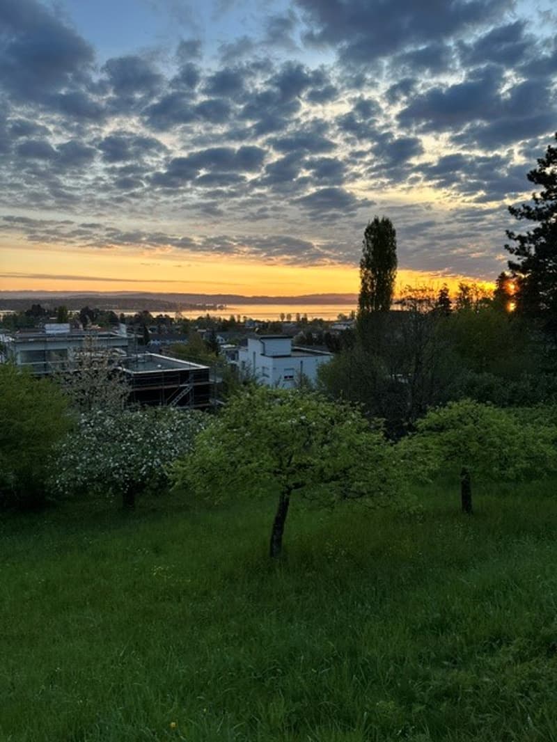 Vaste maison de famille de 8,5 pièces avec jardin à Kreuzlingen (3)