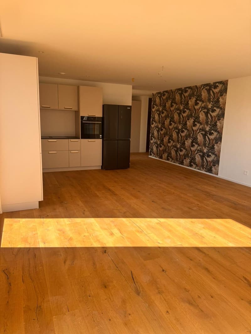 Grosszügige 4.5-Zimmer Attika Neubauwohnung an ruhiger Lage in Erlen mit grosser Attika-Terrasse (9)