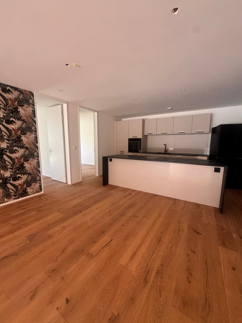 Grosszügige 4.5-Zimmer Neubauwohnung an ruhiger Lage in Erlen (8)