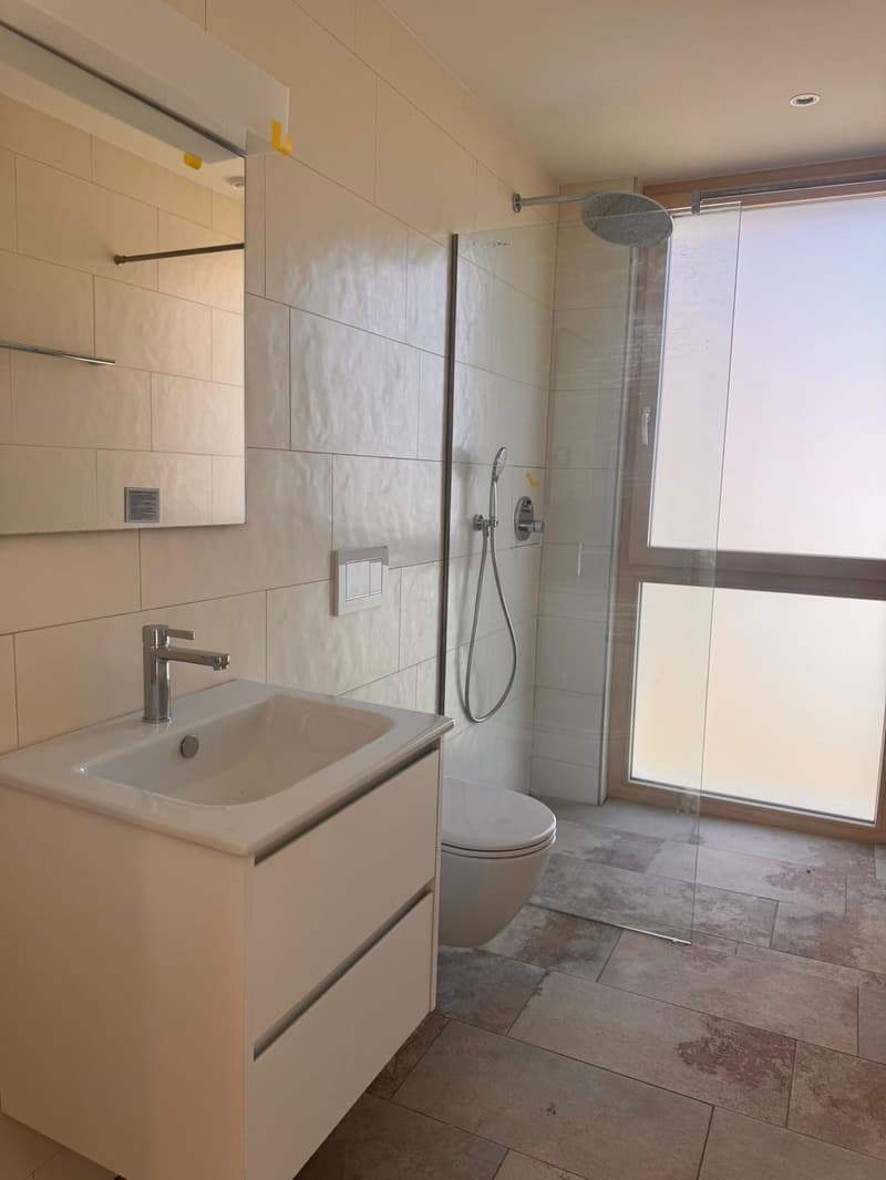 Attraktive 5.5 Zimmer Neubauwohnung an ruhiger Lage in Erlen (11)
