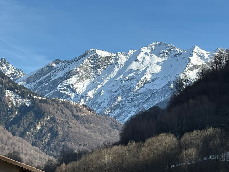 snow covered mountains, trees, clear blue sky