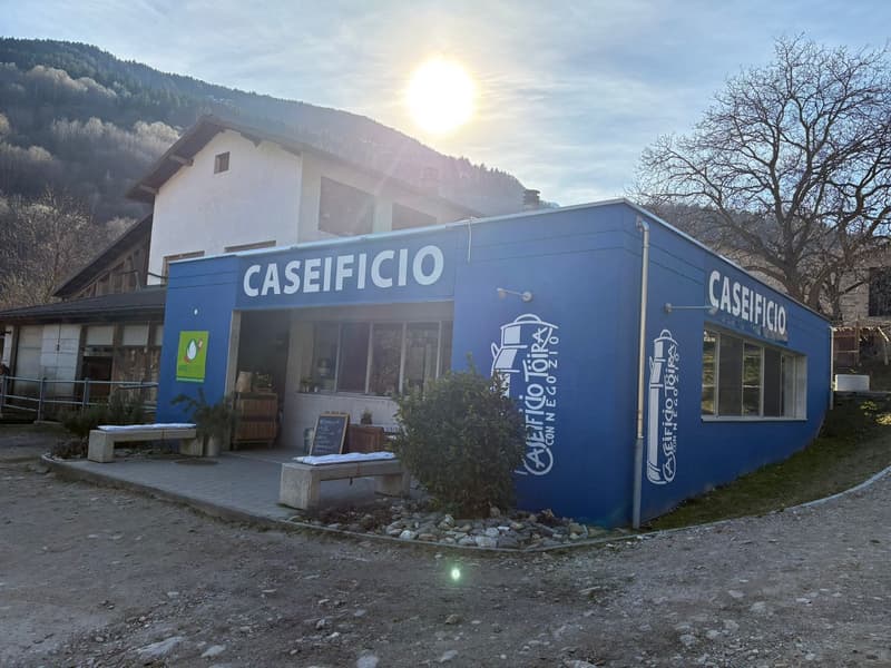 Blue building with 'Caseificio' text, two benches, trees, mountain in background
