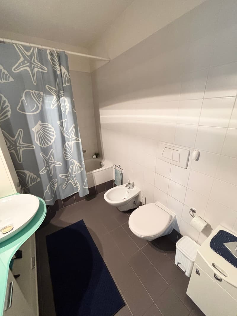 modern bathroom with shower, bathtub, bidet, two toilets, vanity, white tiles, blue rug, cabinets, towel rack