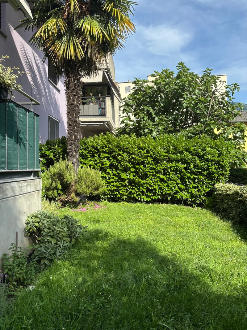 The image shows a lush, green outdoor garden area with a palm tree, shrubs, and a grassy lawn. There is a balcony or terrace visible on the building in the background.