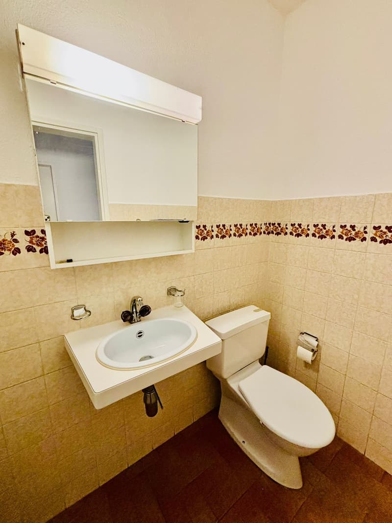 White tiled walls, brown tiled floor, toilet, sink, faucet, mirror, and a medicine cabinet.