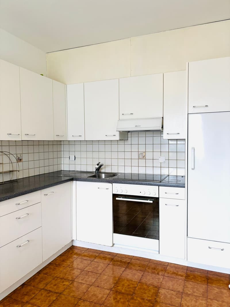 Modern kitchen, with tiled backsplash, stainless steel sink, dishwasher, electric stove, built-in fridge, cabinets, granite countertop